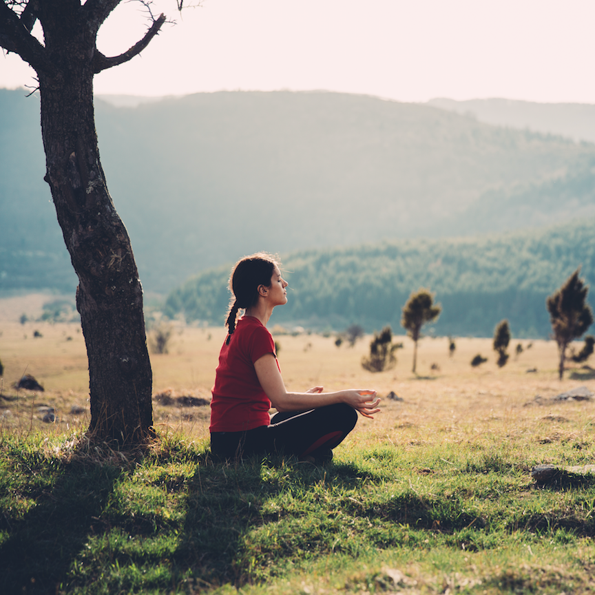 A wellness offering doesn't equal authenticity, says report