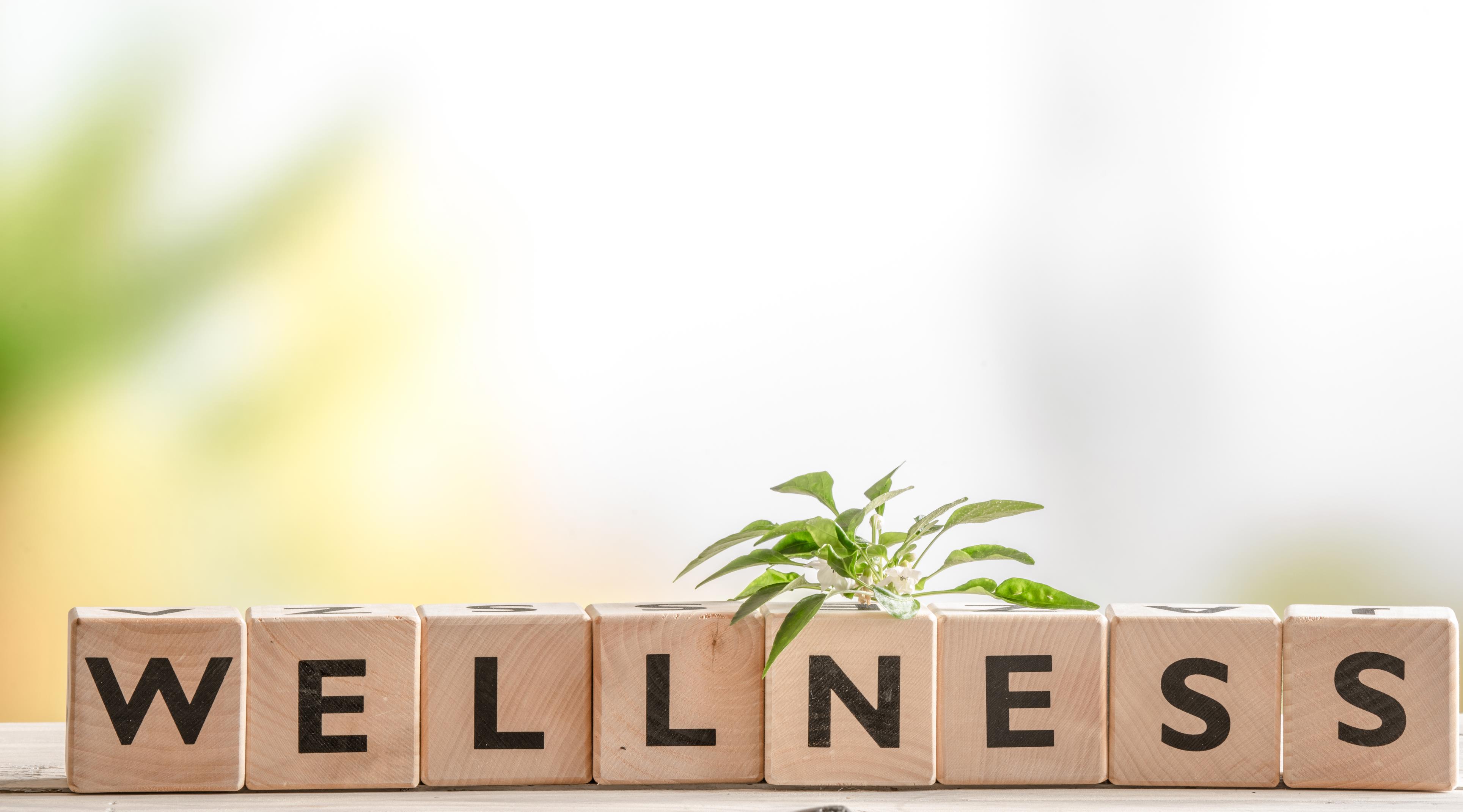 GWS reveals 2018 theme