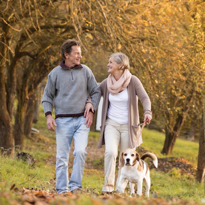 New study reveals one in four Brits avoid exercise at all costs