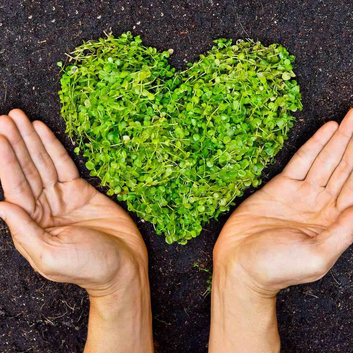 Learn how to become an eco-friendly salon at Phorest’s Conscious Hair & Beauty event 