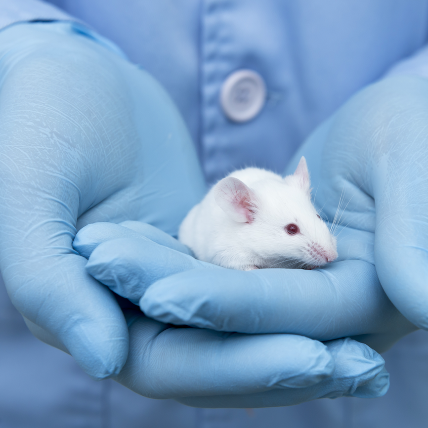 Skin and hair ageing found to be reversible