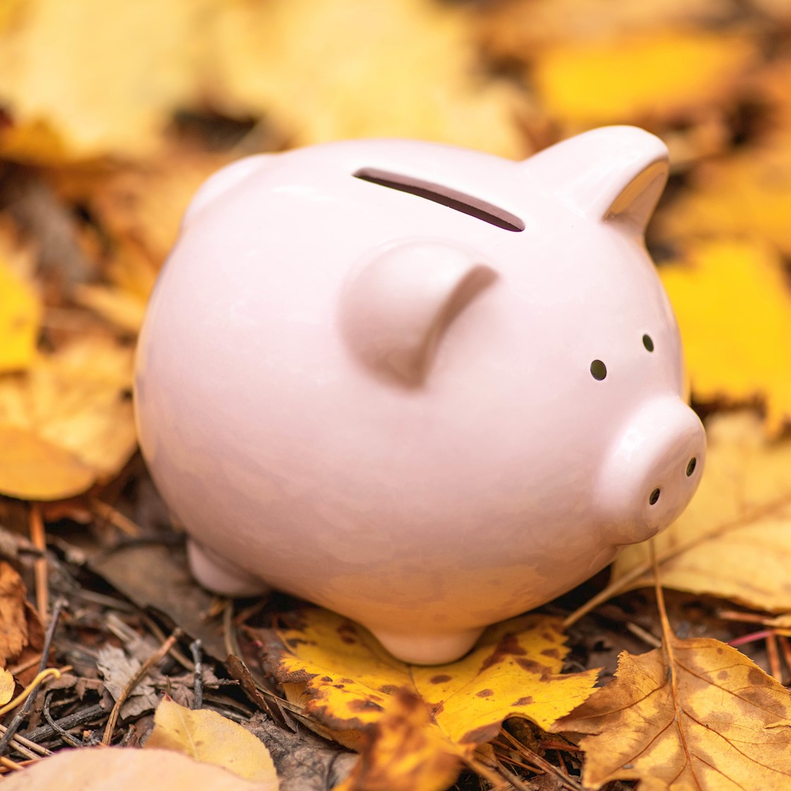 How the Autumn Budget will affect beauty businesses