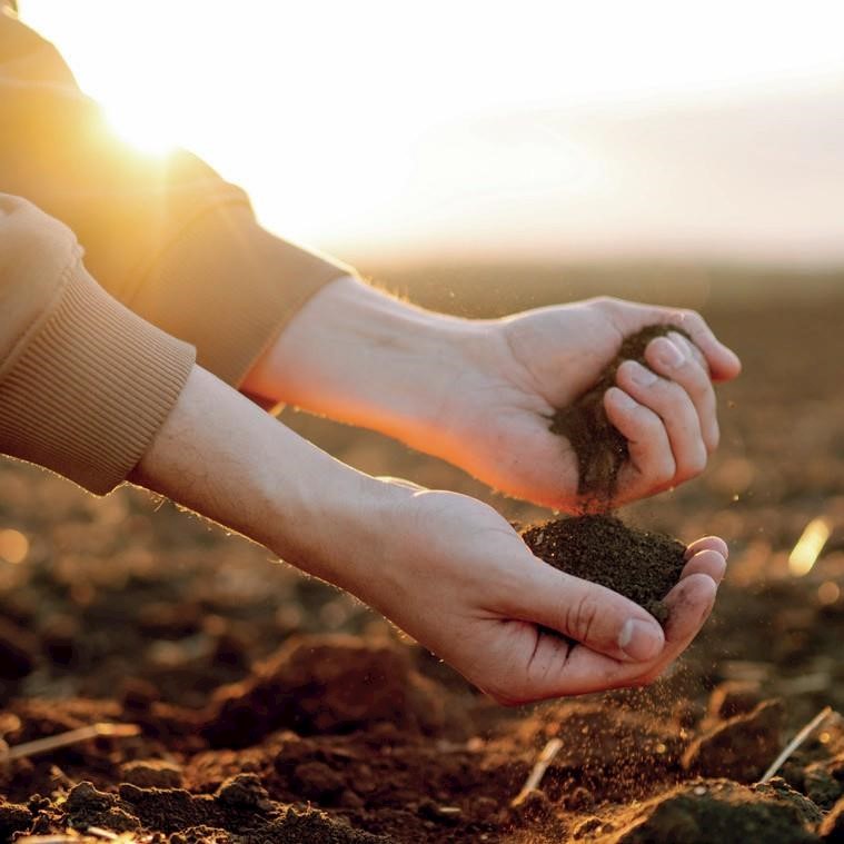 What is regenerative beauty and how can you tell if a brand is really trying to make a difference?