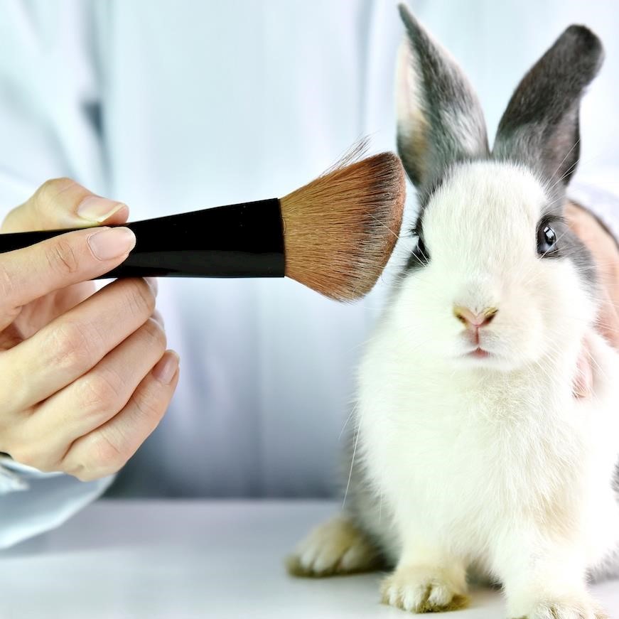 85% of Brits against the reintroduction of animal testing for cosmetics in the UK