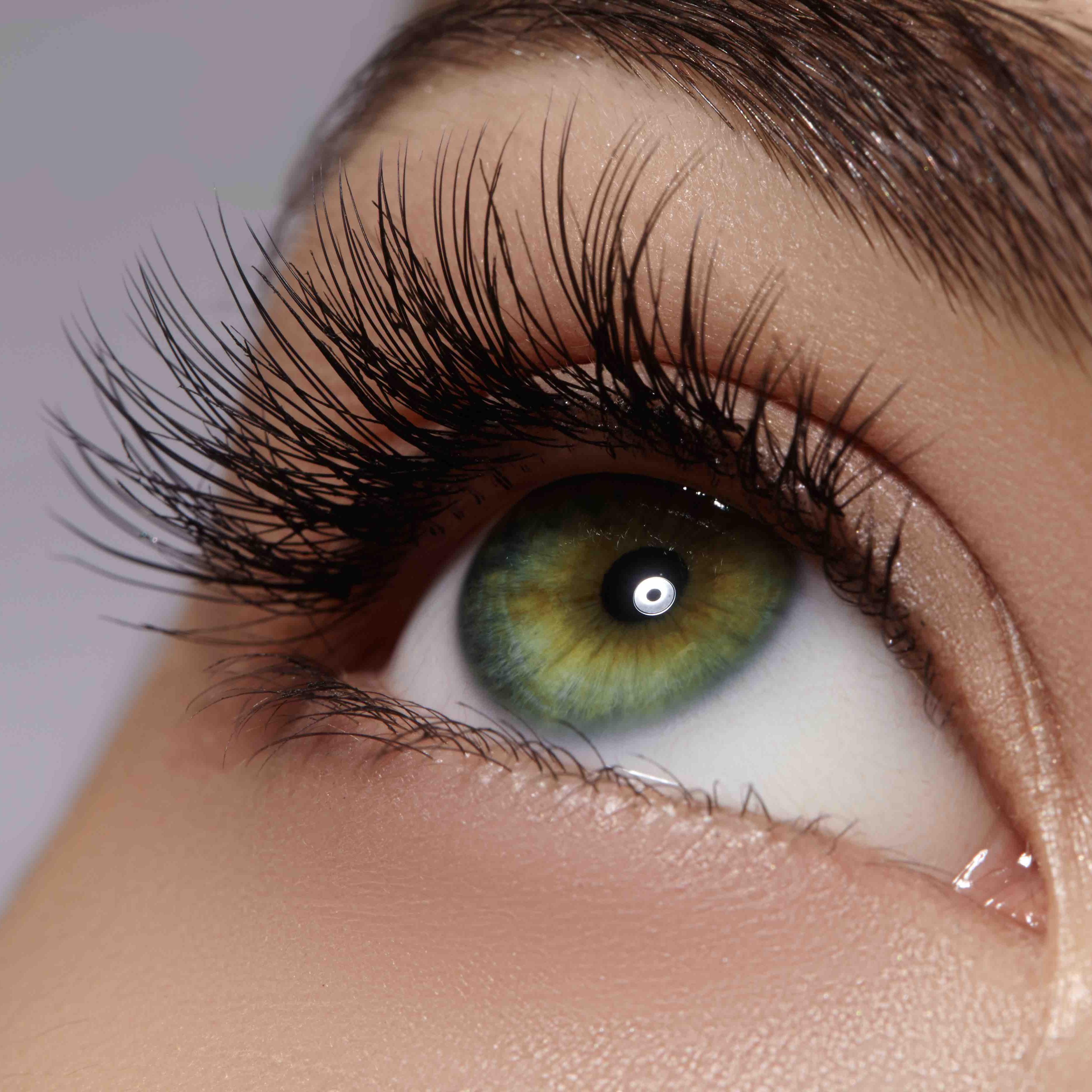 Are you ready to compete in a lash competition?