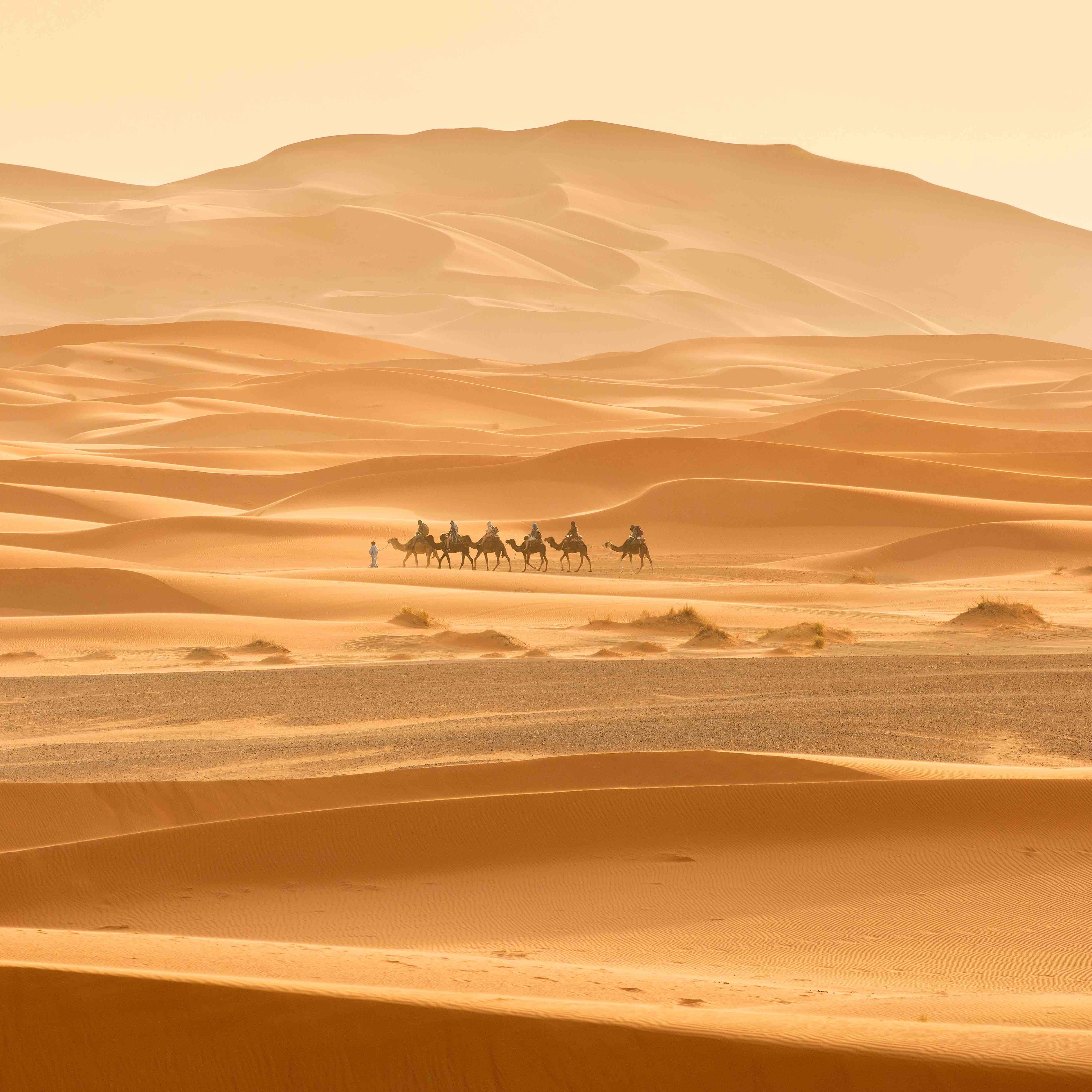 Revealed: 7 of the best wellness destinations for 2020