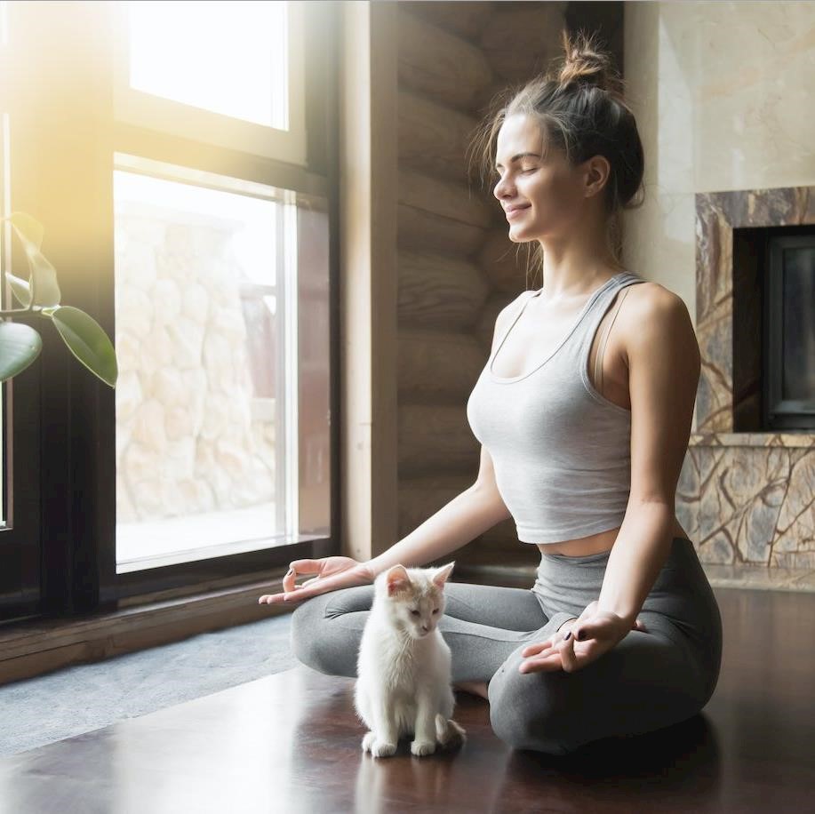 Immunity retreats and animal therapy among 2023 wellness trends