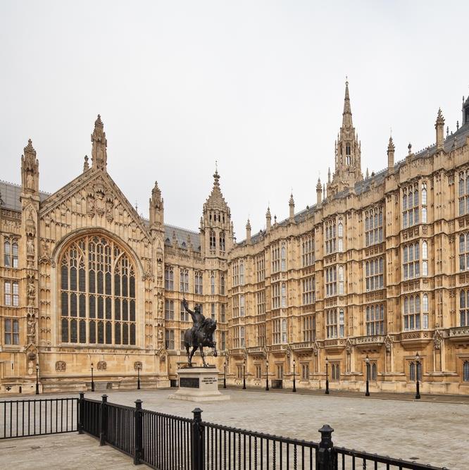 Government representation group for aesthetics will push for regulation and therapist accessibility