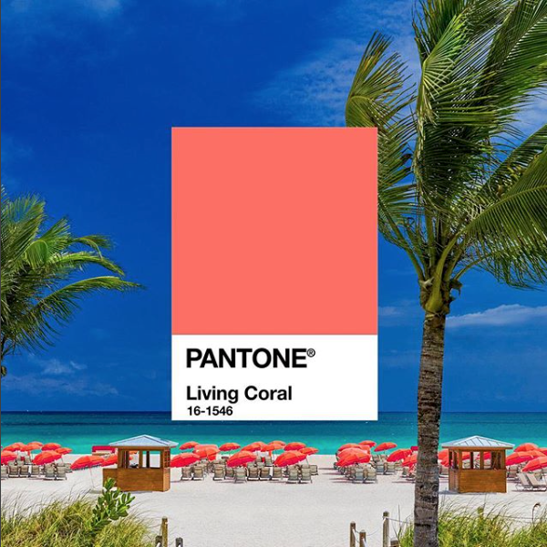 Living Coral is Pantone's Color of the Year 2019 