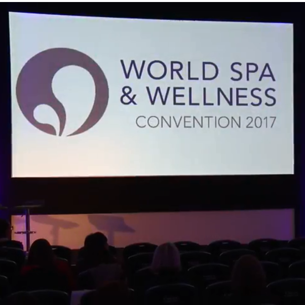 Don Camilleri about the WSW Convention