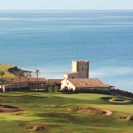 Wellness Collective cancels first networking event 